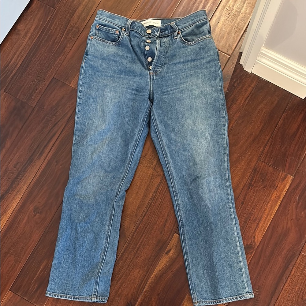 Aritzia Denim Forum High Rise Straight Jeans